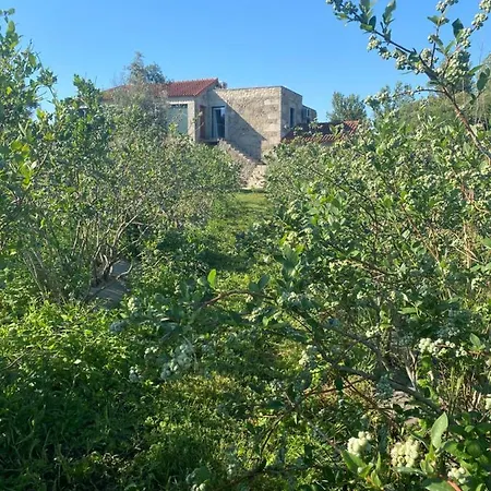 Surribes Holiday home Braga